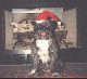 Yule Dog '97